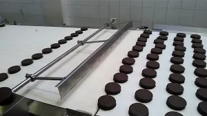 Ligne automatique d’emballage de gâteaux et de barres