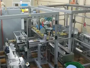 Ligne automatique d’alimentation et d’emballage