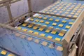Ligne automatique d’emballage de nouilles instantanées