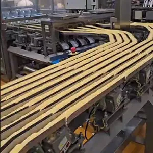 Ligne automatique d’emballage de chips